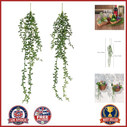 Pack string pearls - pack,
