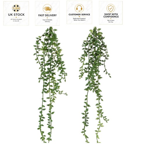 Realistic hanging succulent - realistic,