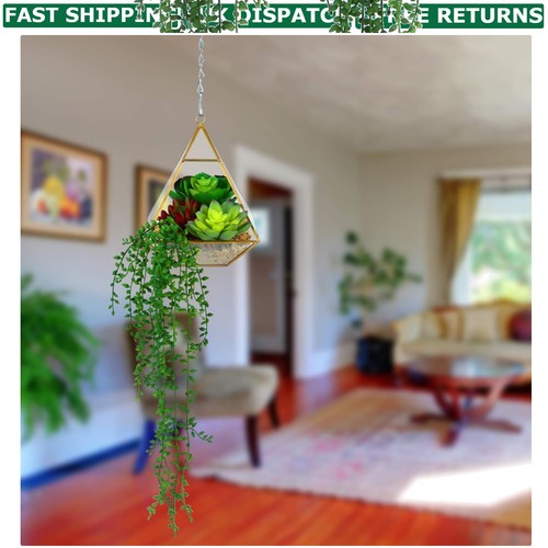 Realistic faux succulents - faux,