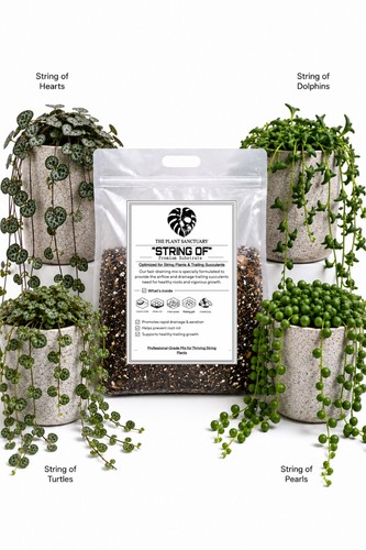 10l bioactive string - 10l,