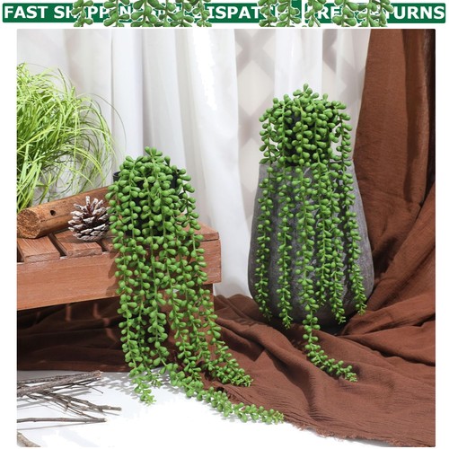 Pack faux hanging string of - 2-pack,