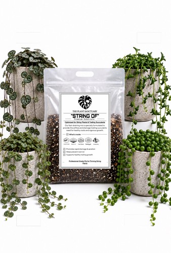 25l bioactive string pearls - of,