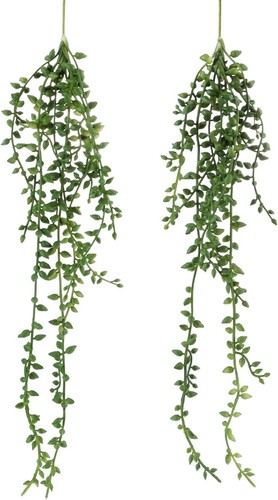 Artificial hanging succulent - artificial,