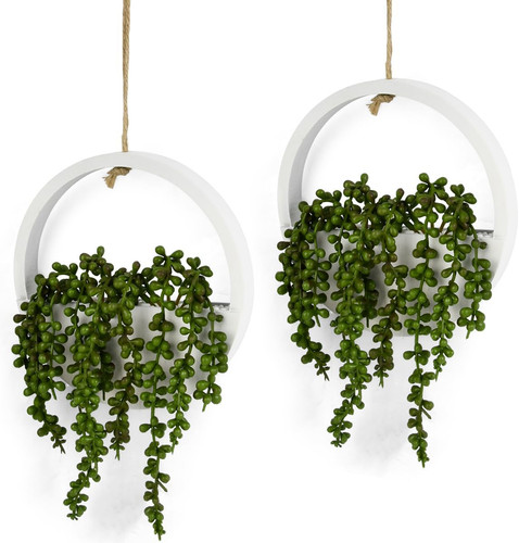 Pack hanging plant - pack,