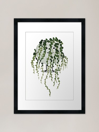 String pearls plant pal - string,