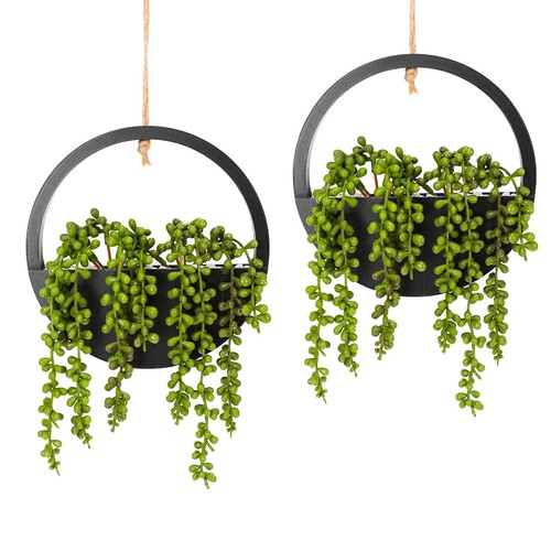 Hobyhoon hanging plant - hanging,