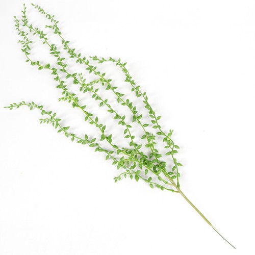 Artificial string pearls - string,