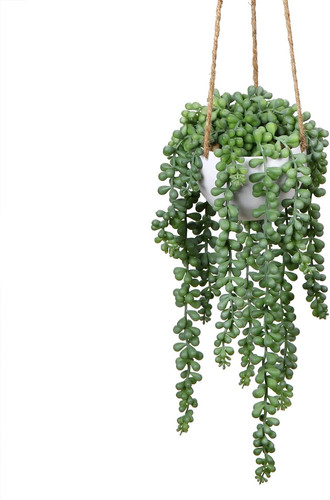 Artificial hanging string - artificial, of