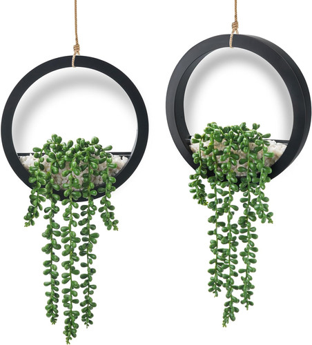 Pack fake plants - fake, hanging