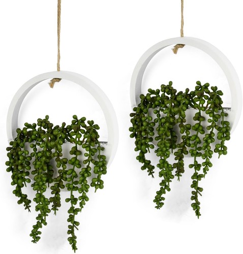 Pack hanging plant - 2,
