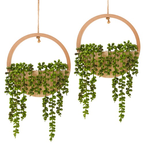 Hobyhoon hanging plant - hobyhoon,