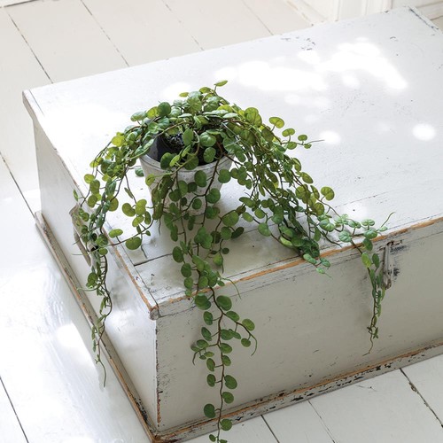 Artificial potted string - artificial,