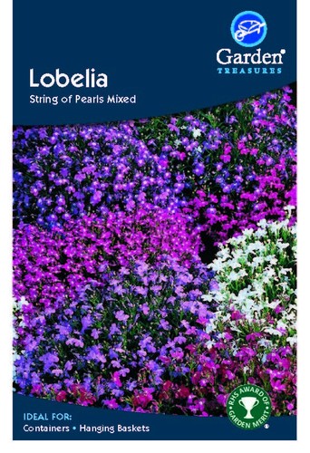 Lobelia string pearls - lobelia, of